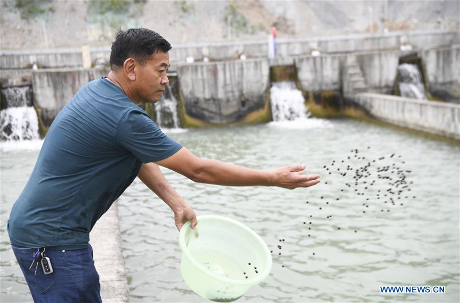 CHINA-CHONGQING-COLD WATER FISH-CULTIVATION (CN)