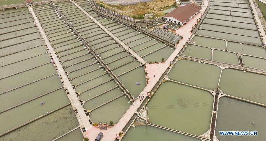 CHINA-CHONGQING-COLD WATER FISH-CULTIVATION (CN)