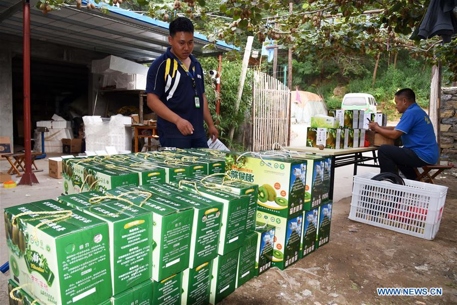 CHINA-SHANDONG-ZIBO-KIWI FRUIT (CN)
