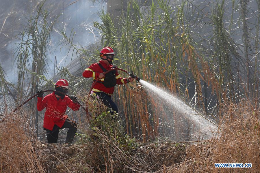 PORTUGAL-LISBON-BUSH FIRE