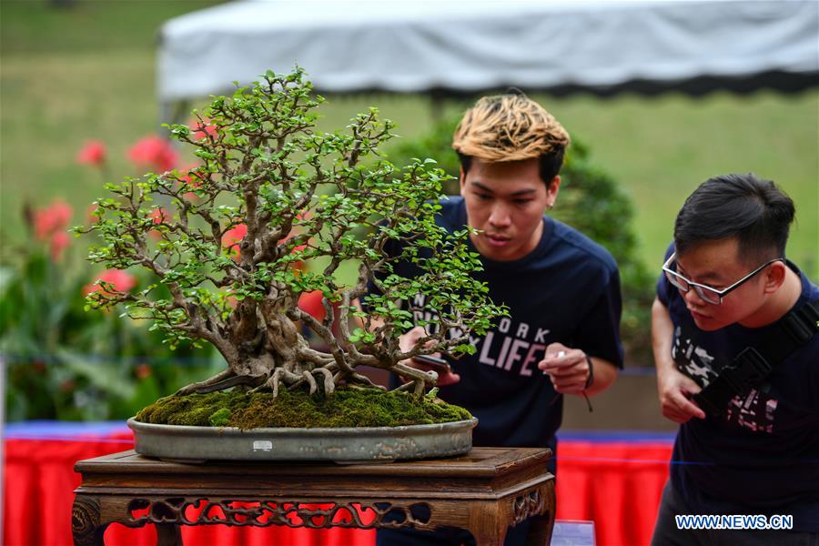 MALAYSIA-PUTRAJAYA-FLOWER SHOW
