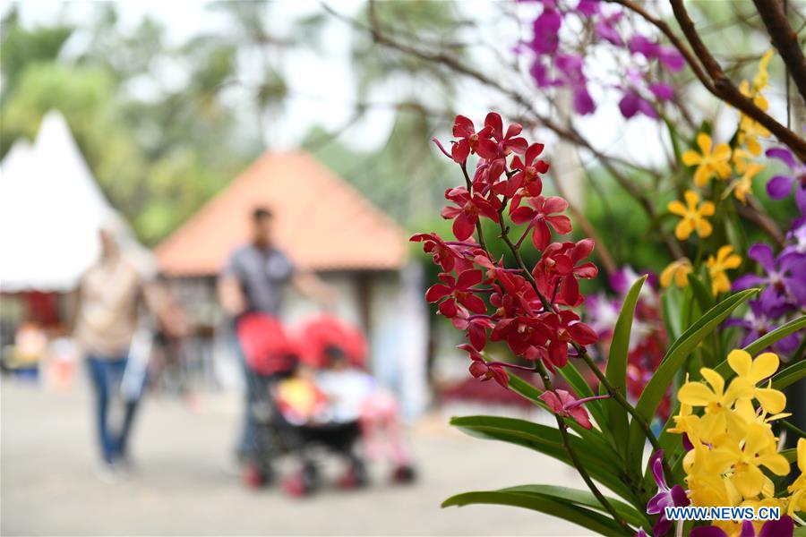 MALAYSIA-PUTRAJAYA-FLOWER SHOW