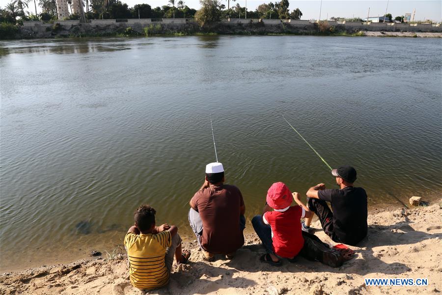 EGYPT-SHARQIYA-NILE RIVER-FISH POPULATION-CAMPAIGN
