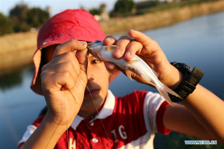 EGYPT-SHARQIYA-NILE RIVER-FISH POPULATION-CAMPAIGN