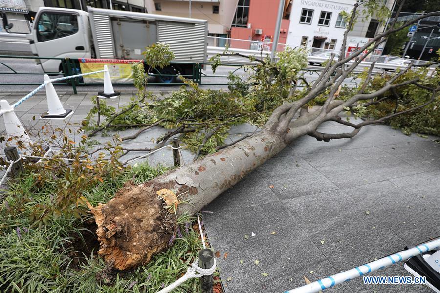 JAPAN-TOKYO-TYPHOON FAXAI
