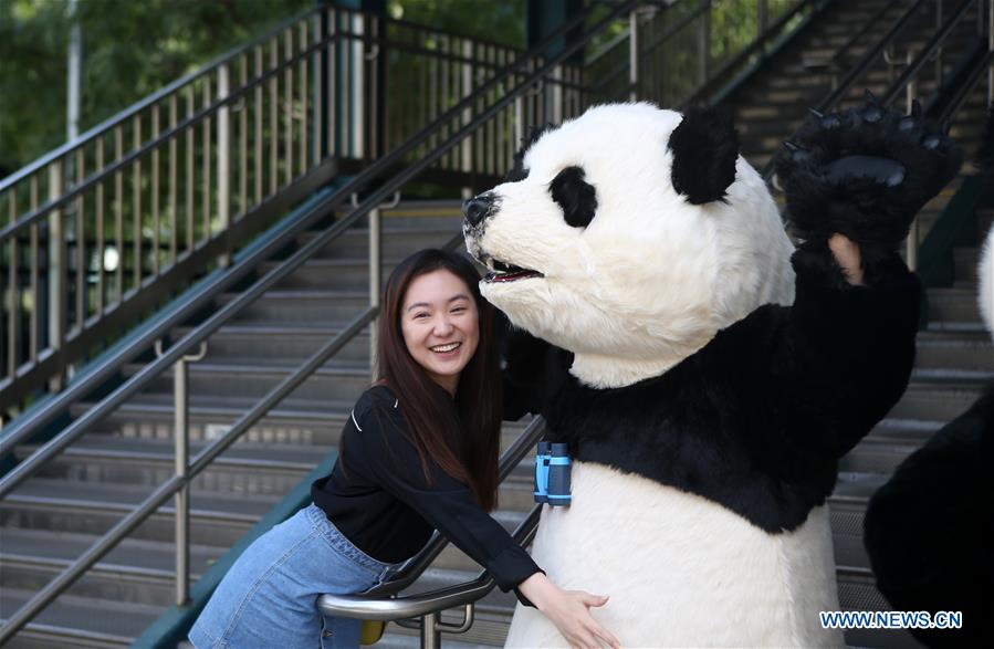 U.S.-NEW YORK-HELLO PANDA FESTIVAL-LAUNCH