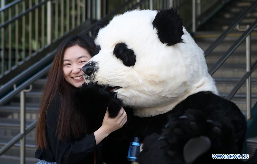 U.S.-NEW YORK-HELLO PANDA FESTIVAL-LAUNCH