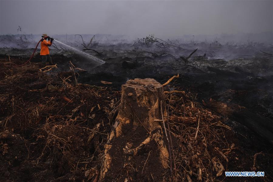 INDONESIA-RIAU-PEAT LAND FIRE