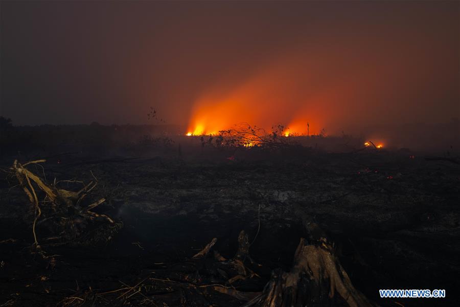 INDONESIA-RIAU-PEAT LAND FIRE