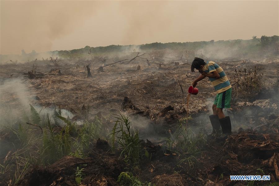 INDONESIA-RIAU-PEAT LAND FIRE