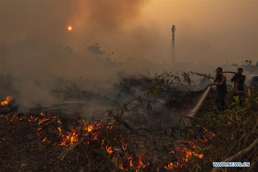 INDONESIA-RIAU-PEAT LAND FIRE