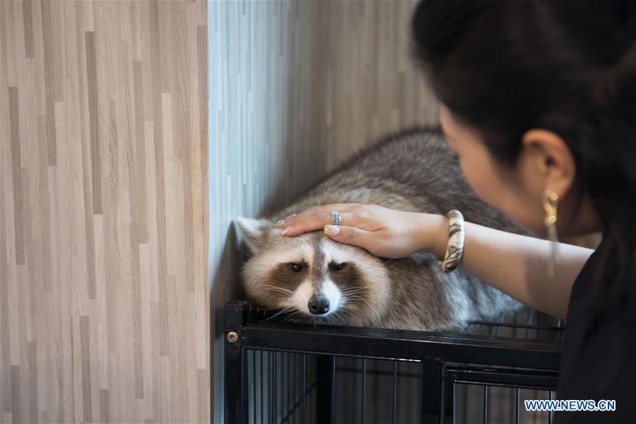 THAILAND-BANGKOK-ANIMAL CAFE