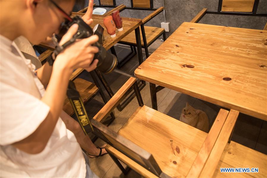 THAILAND-BANGKOK-ANIMAL CAFE