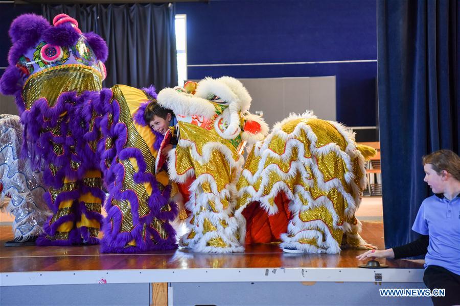 NEW ZEALAND-WELLINGTON-DISCOVER CHINA DAY