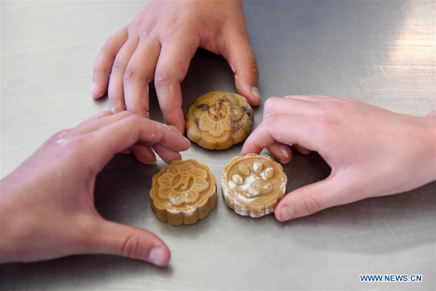 NEW ZEALAND-WELLINGTON-DISCOVER CHINA DAY