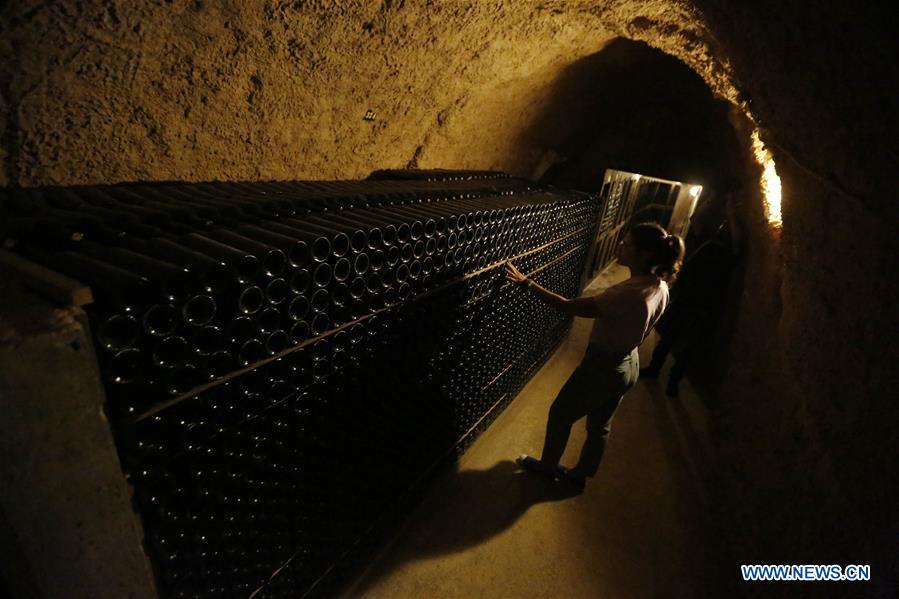 LEBANON-BEQAA VALLEY-WINERY