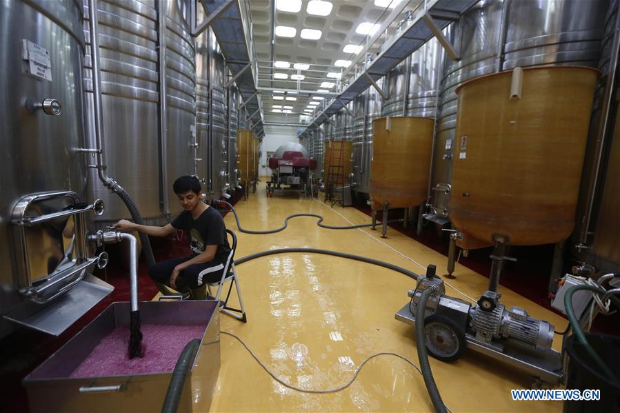 LEBANON-BEQAA VALLEY-WINERY