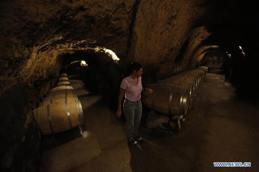 LEBANON-BEQAA VALLEY-WINERY