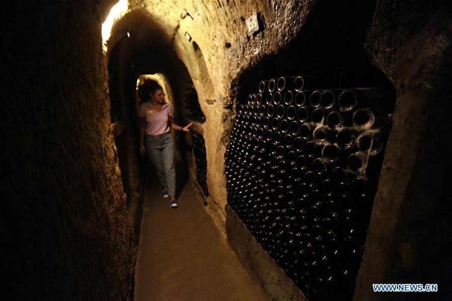 LEBANON-BEQAA VALLEY-WINERY