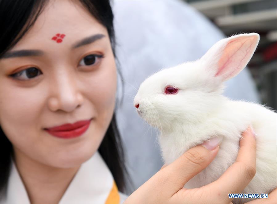 XINHUA PHOTOS OF THE DAY