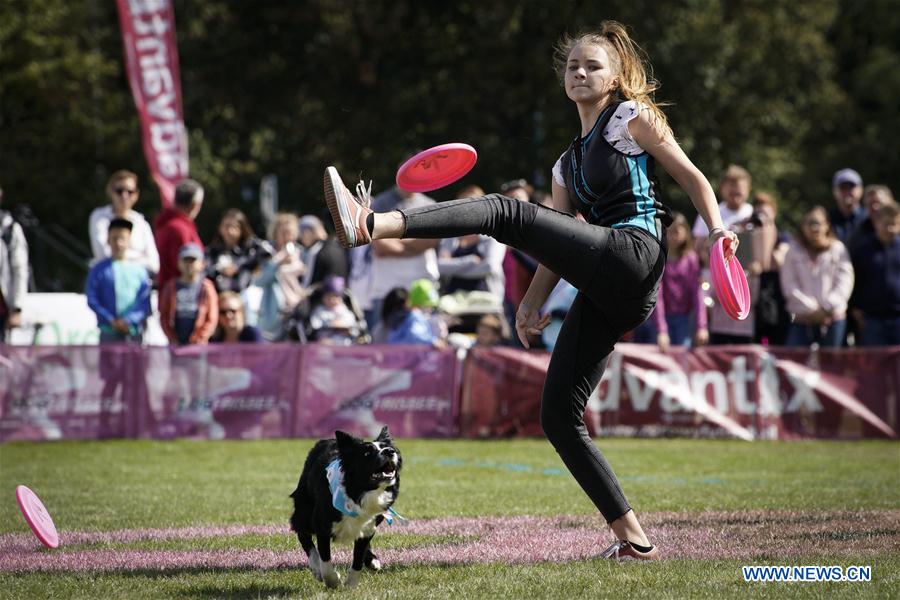 (SP)POLAND-WARSAW-FLYING DOG COMPETITION