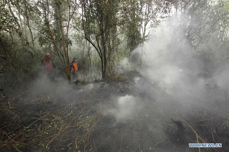 INDONESIA-RIAU-FIRE