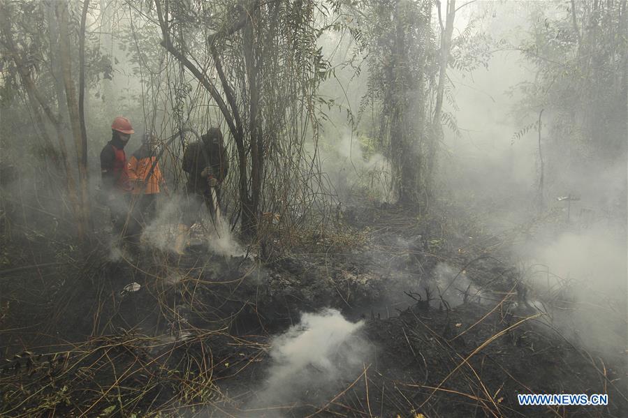 INDONESIA-RIAU-FIRE
