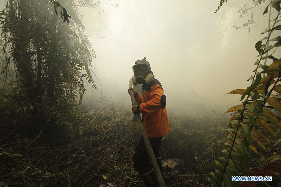 INDONESIA-RIAU-FIRE