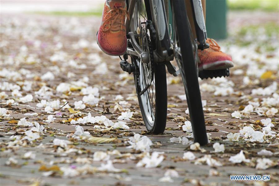 XINHUA PHOTOS OF THE DAY