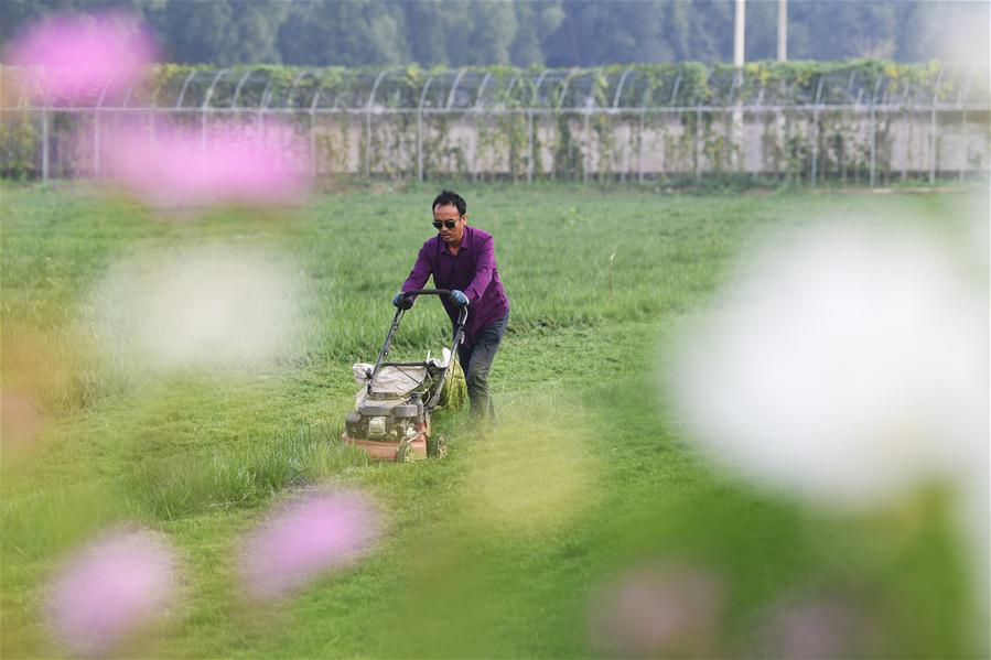 CHINA-SHANXI-FLOWERS AND PLANTS-ECONOMY (CN)