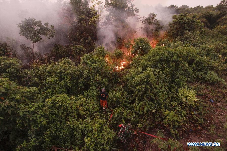 INDONESIA-RIAU-FOREST FIRE-POLLUTION