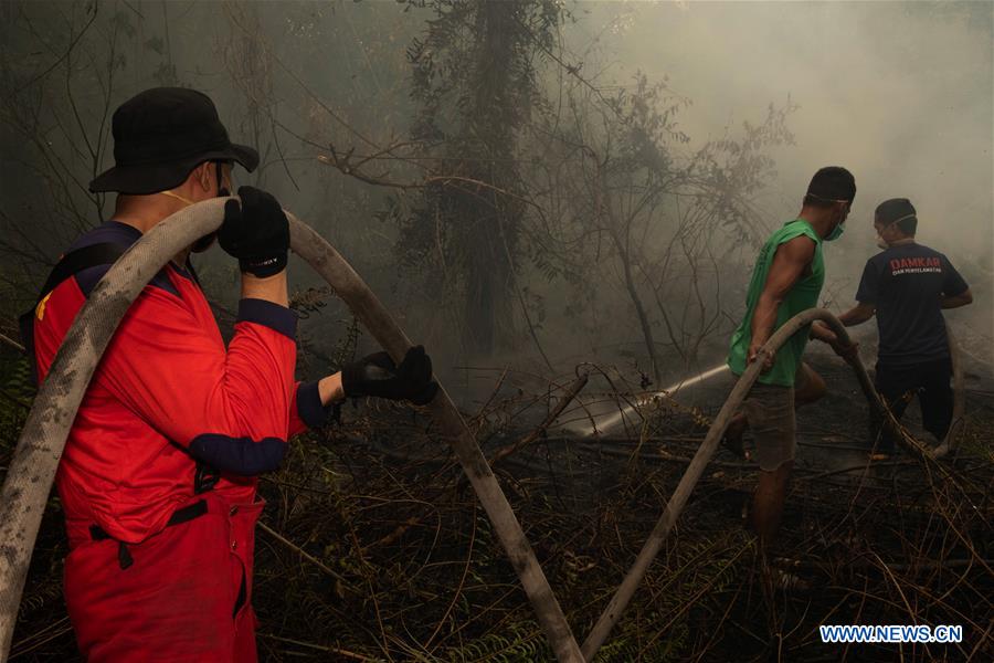 INDONESIA-RIAU-FOREST FIRE