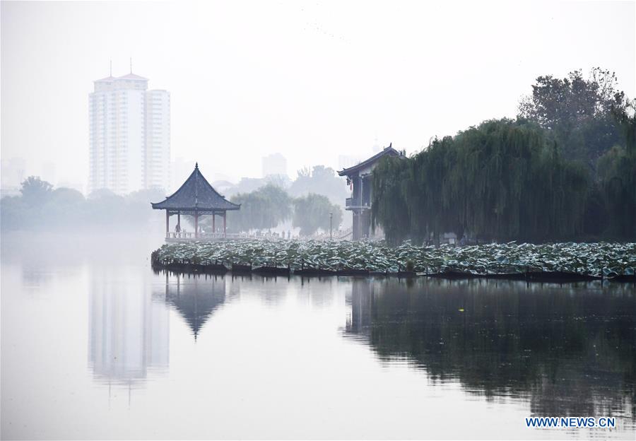 CHINA-SHANDONG-JINAN-DAMING LAKE-MORNING FOG (CN)
