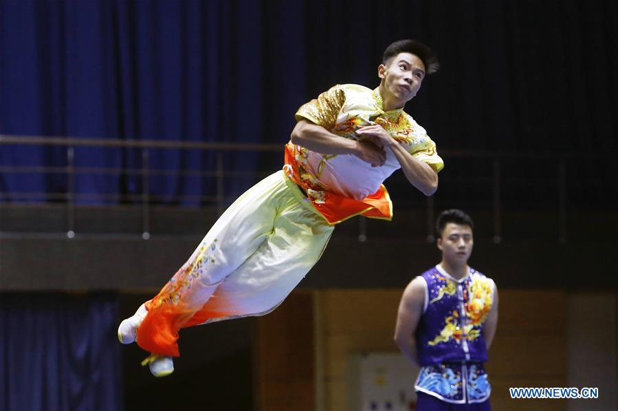 (SP)ROMANIA-BUCHAREST-CHINESE MARTIAL ARTS-PERFORMANCE