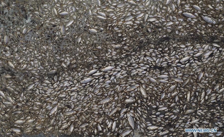 GREECE-THESSALONIKI-KORONEIA LAKE-DROUGHT