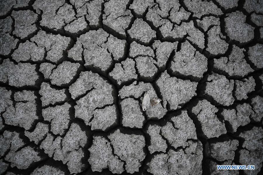 GREECE-THESSALONIKI-KORONEIA LAKE-DROUGHT