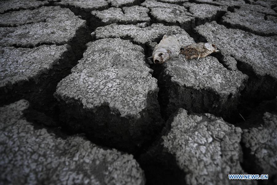 GREECE-THESSALONIKI-KORONEIA LAKE-DROUGHT