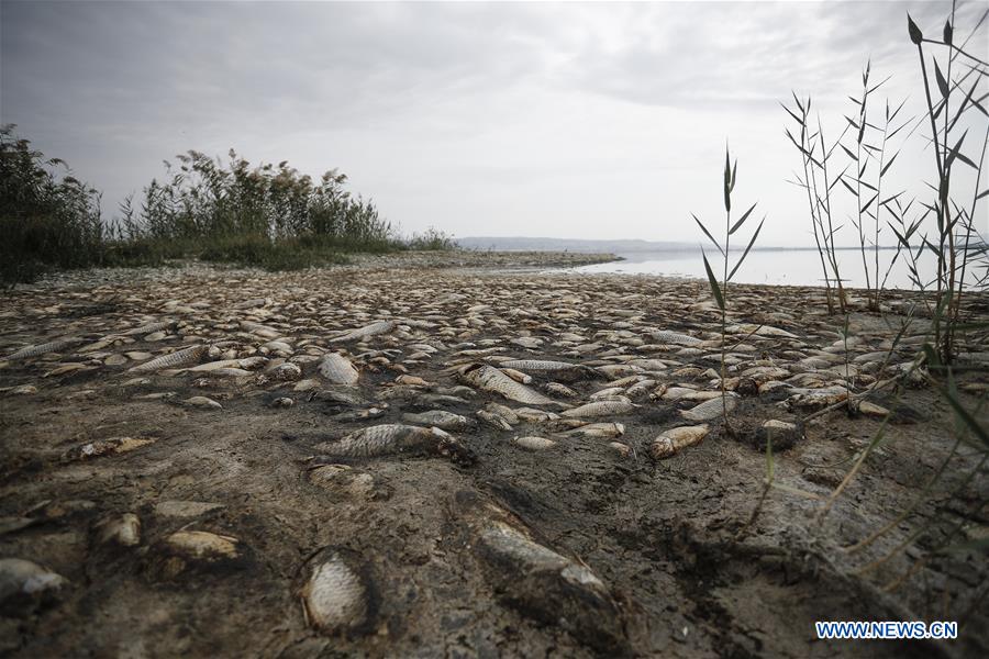 GREECE-THESSALONIKI-KORONEIA LAKE-DROUGHT