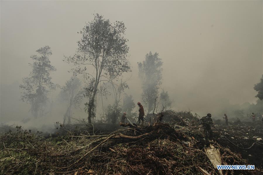 INDONESIA-RIAU-FOREST FIRE