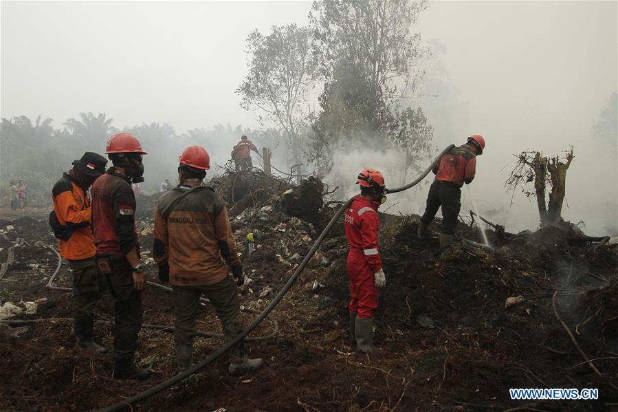 INDONESIA-RIAU-FOREST FIRE