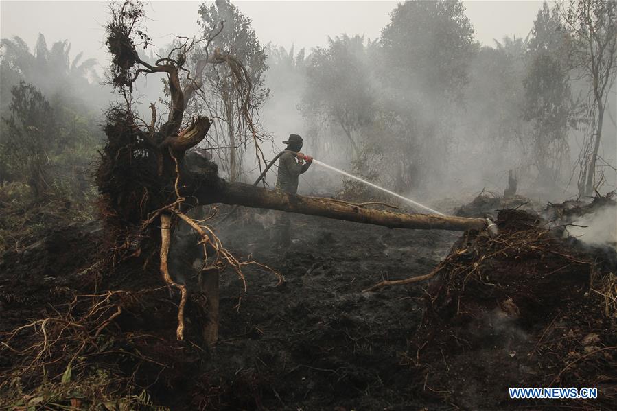 INDONESIA-RIAU-FOREST FIRE