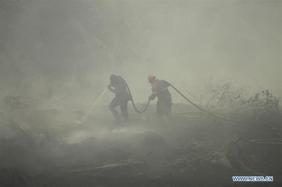 INDONESIA-RIAU-PEATLAND FIRE