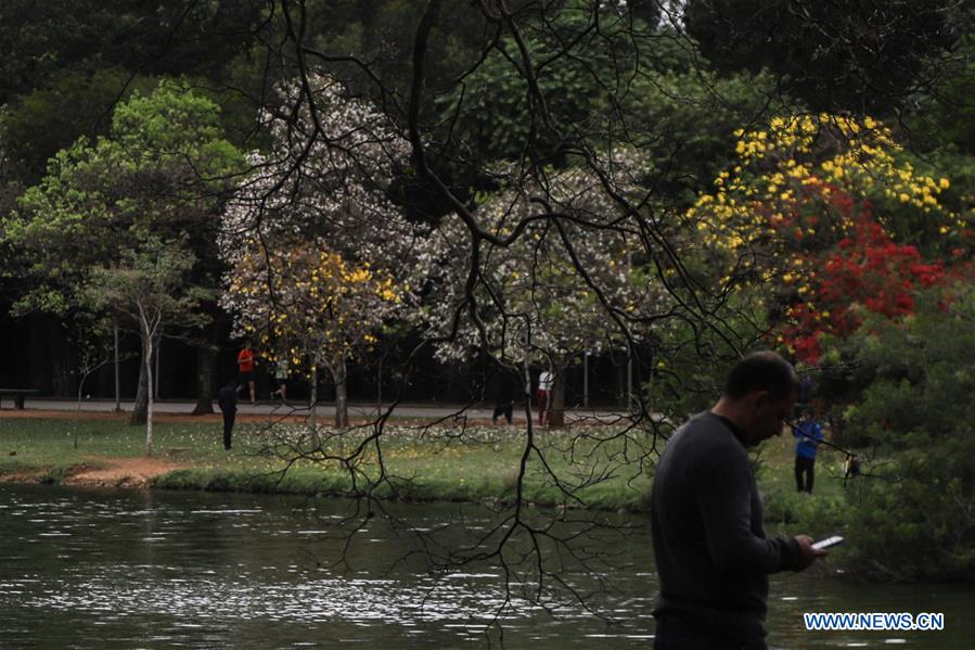 BRAZIL-SAO PAULO-SPRING-BLOSSOM