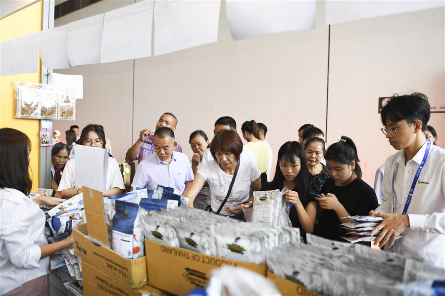 CHINA-GUANGXI-NANNING-ASEAN-EXPO-PUBLIC OPEN DAY (CN)