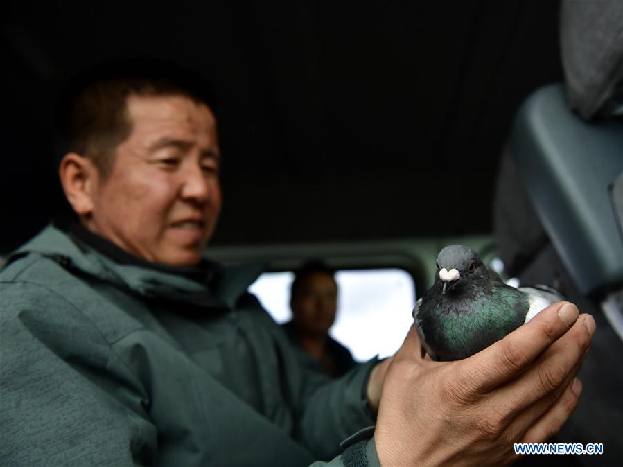 CHINA-QINGHAI-QINGHAI LAKE-OBSERVATION (CN)