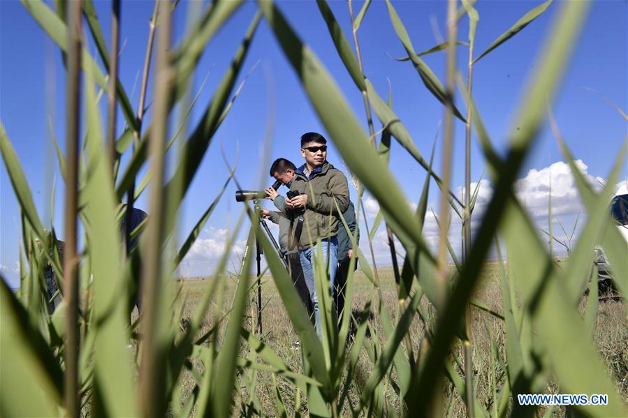 CHINA-QINGHAI-QINGHAI LAKE-OBSERVATION (CN)