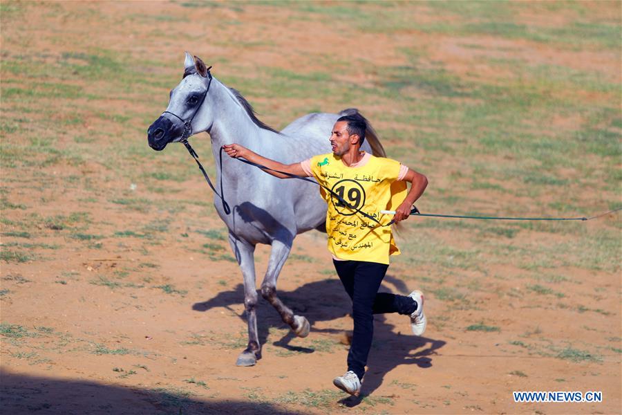EGYPT-SHARKIA-ARABIAN HORSE FESTIVAL