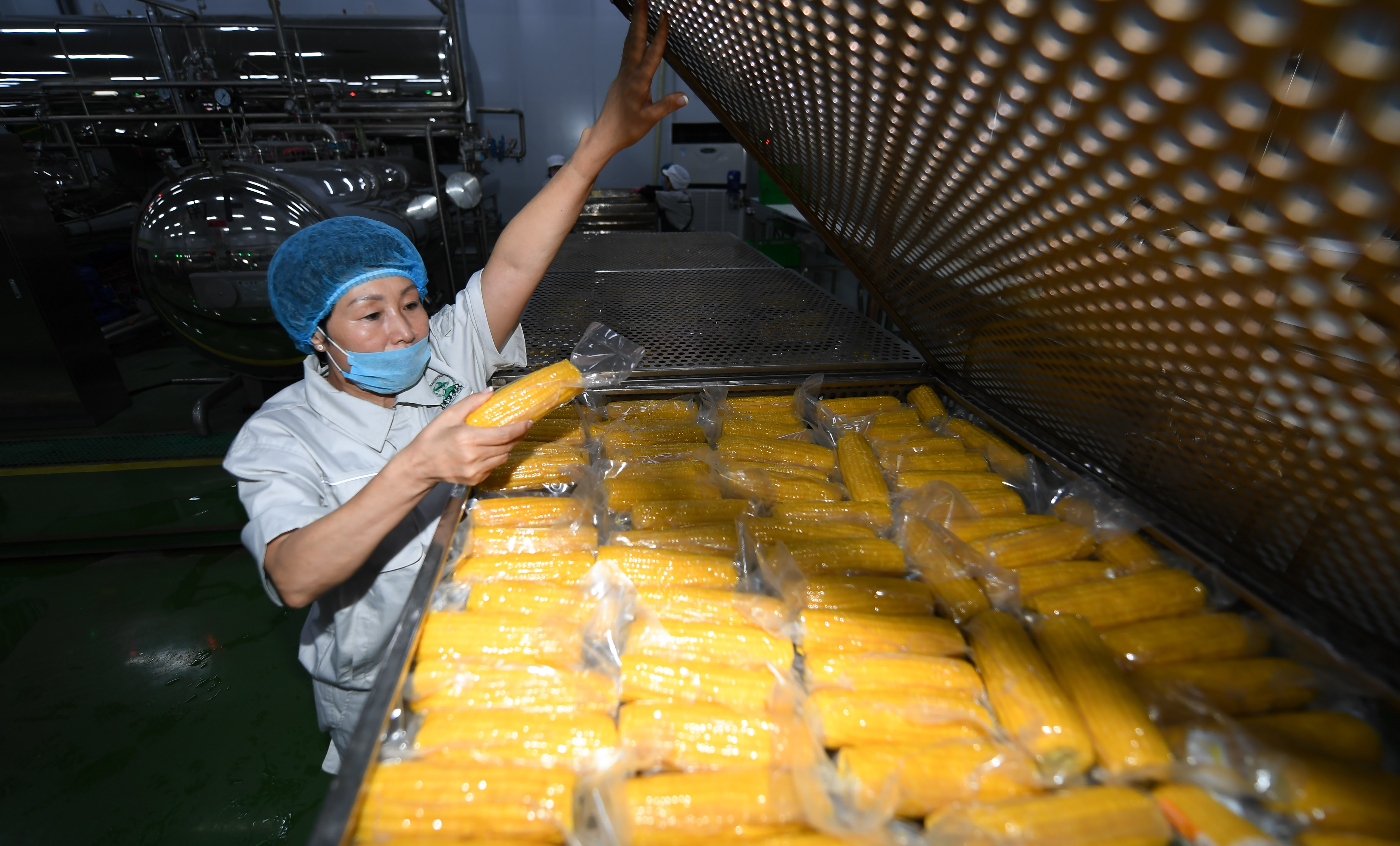 Woman and her corn business - Xinhua | English.news.cn