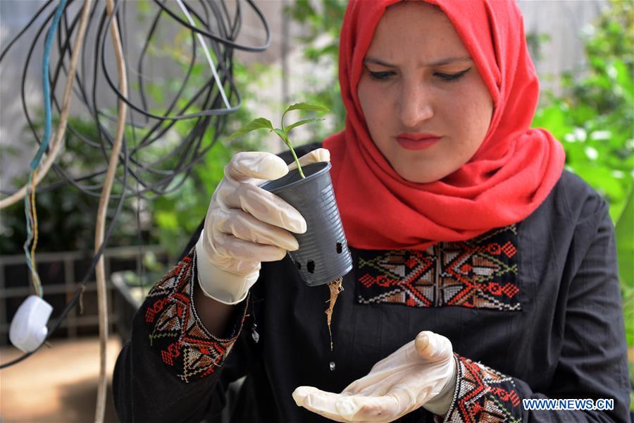 MIDEAST-GAZA-WATER FARM