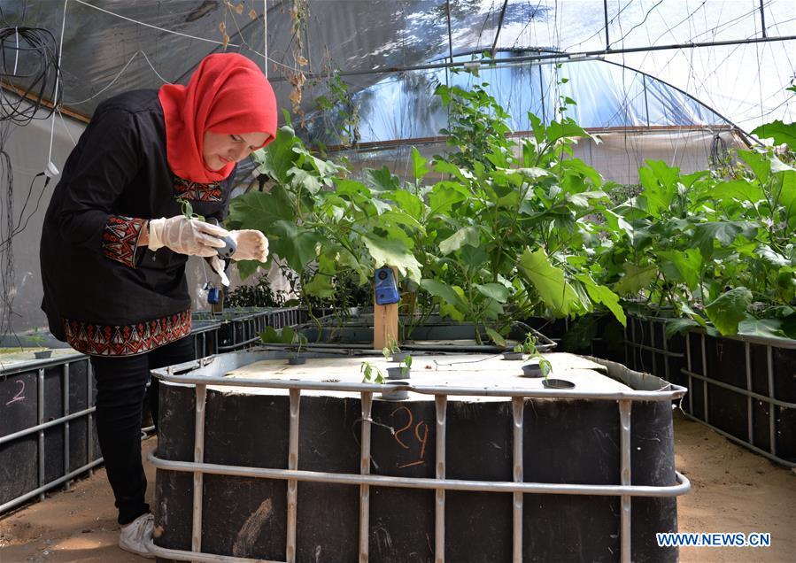 MIDEAST-GAZA-WATER FARM